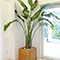 Studio Leaf ATAMI