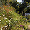 Studio Leaf ATAMI