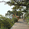 Studio Leaf ATAMI